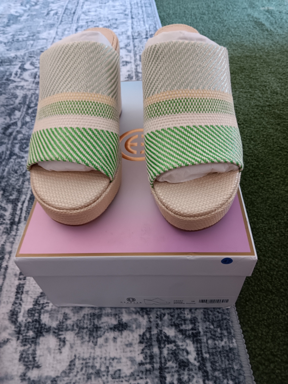 Cecelia  NEW YORK Green and Cream Woven Slide Platform Sandals Size 9.